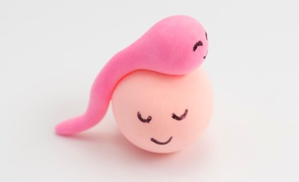 How to Get Pregnant Fast: Fertility Tips to Get Pregnant Easily