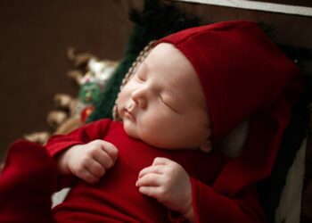 Creating Harmony and Structure: The Power of Establishing Routines and Schedules