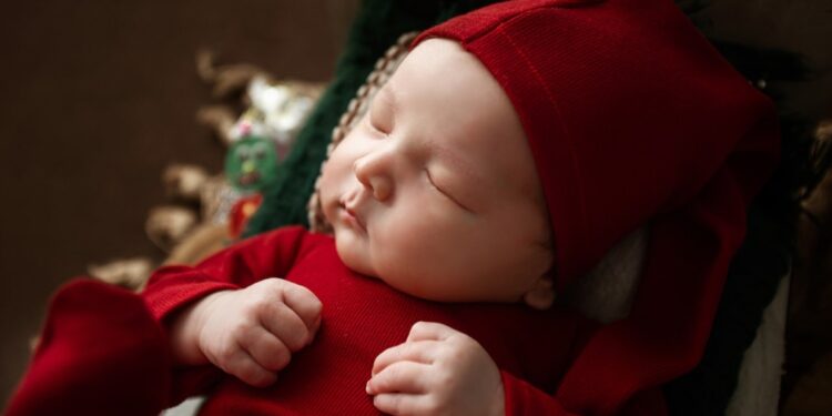 Creating Harmony and Structure: The Power of Establishing Routines and Schedules