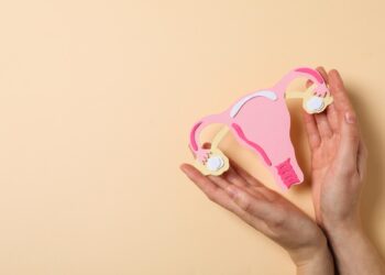 female fertility cycle