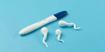 what is male fertility