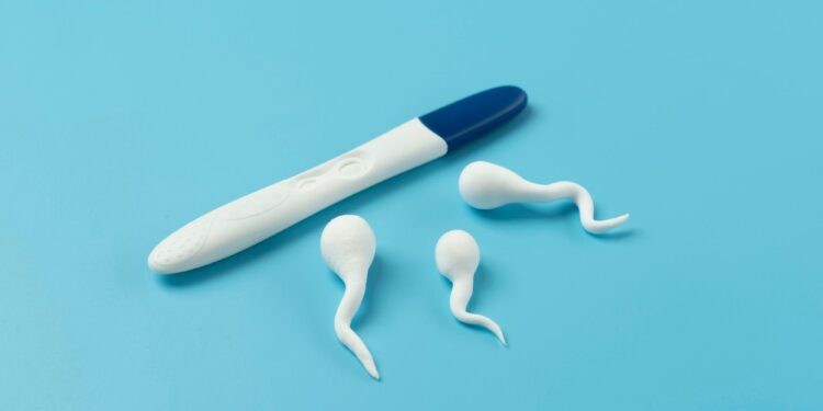 what is male fertility